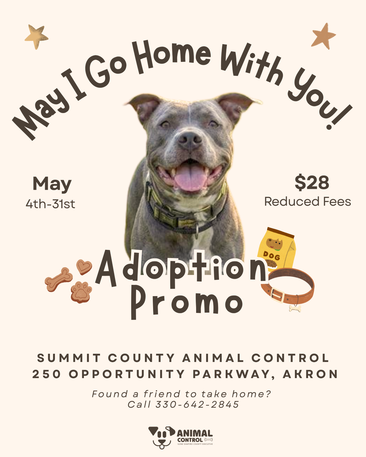 Executive Shapiro, Animal Control launch “May I Go Home with You?” – Adoption event
