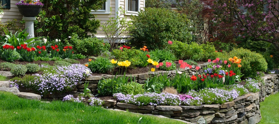 Home Landscaping Tips to Make Your Property Look Beautiful