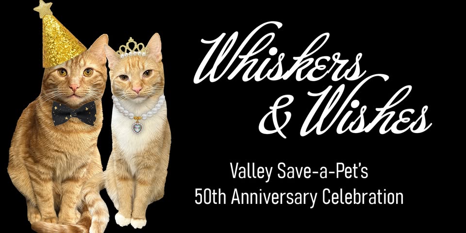 Feature: Valley Save-a-Pet 50th Anniversary, Whiskers & Wishes Event, and Low-Cost Services