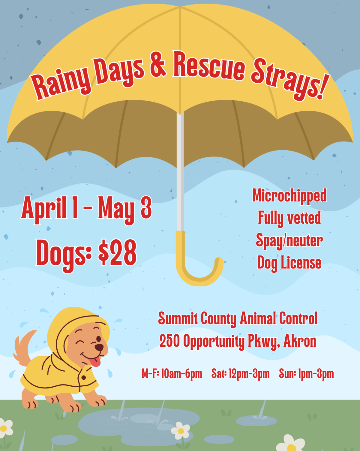 County Executive Shapiro announces “Rainy Days & Rescue Strays!”
