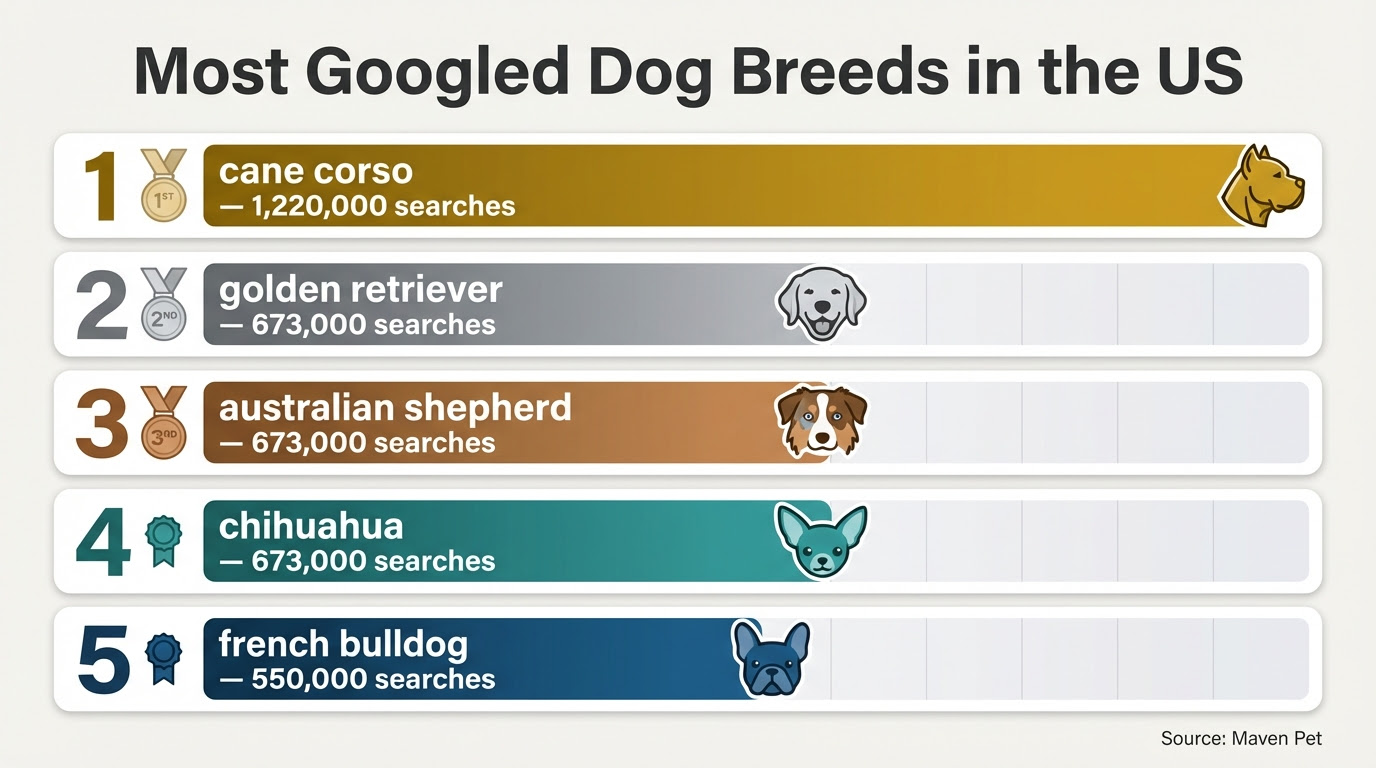 Cane Corso Popularity, Search Trends for Dog Breeds, and Pet Ownership Behavior