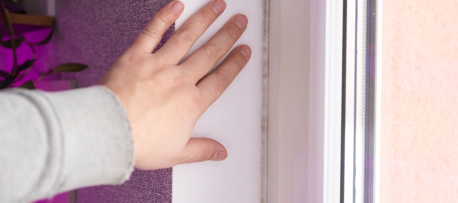 How Mold Prevention Fits Into Long-Term Home Care