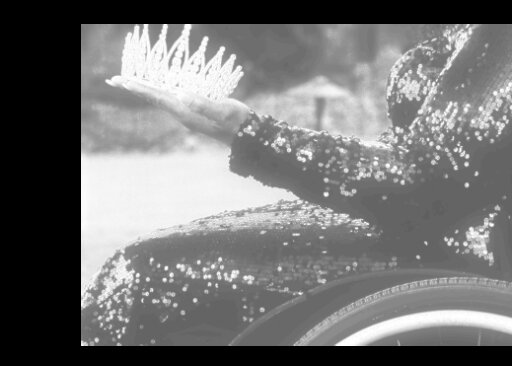 Ms. Wheelchair USA Pageant Marks 30th Year With Return to Cuyahoga Falls