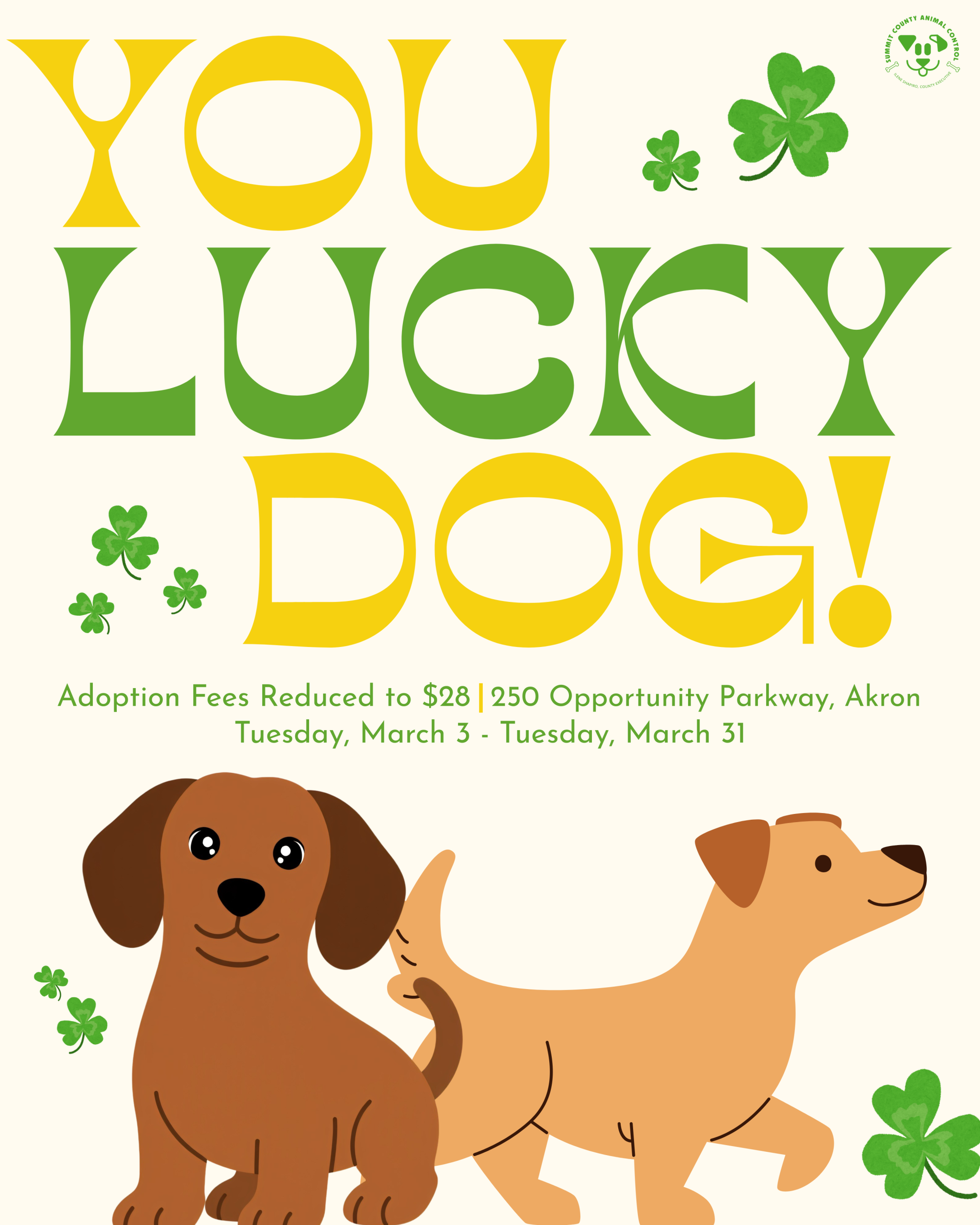 County Executive Shapiro announces You Lucky Dog! adoption event at Animal Control