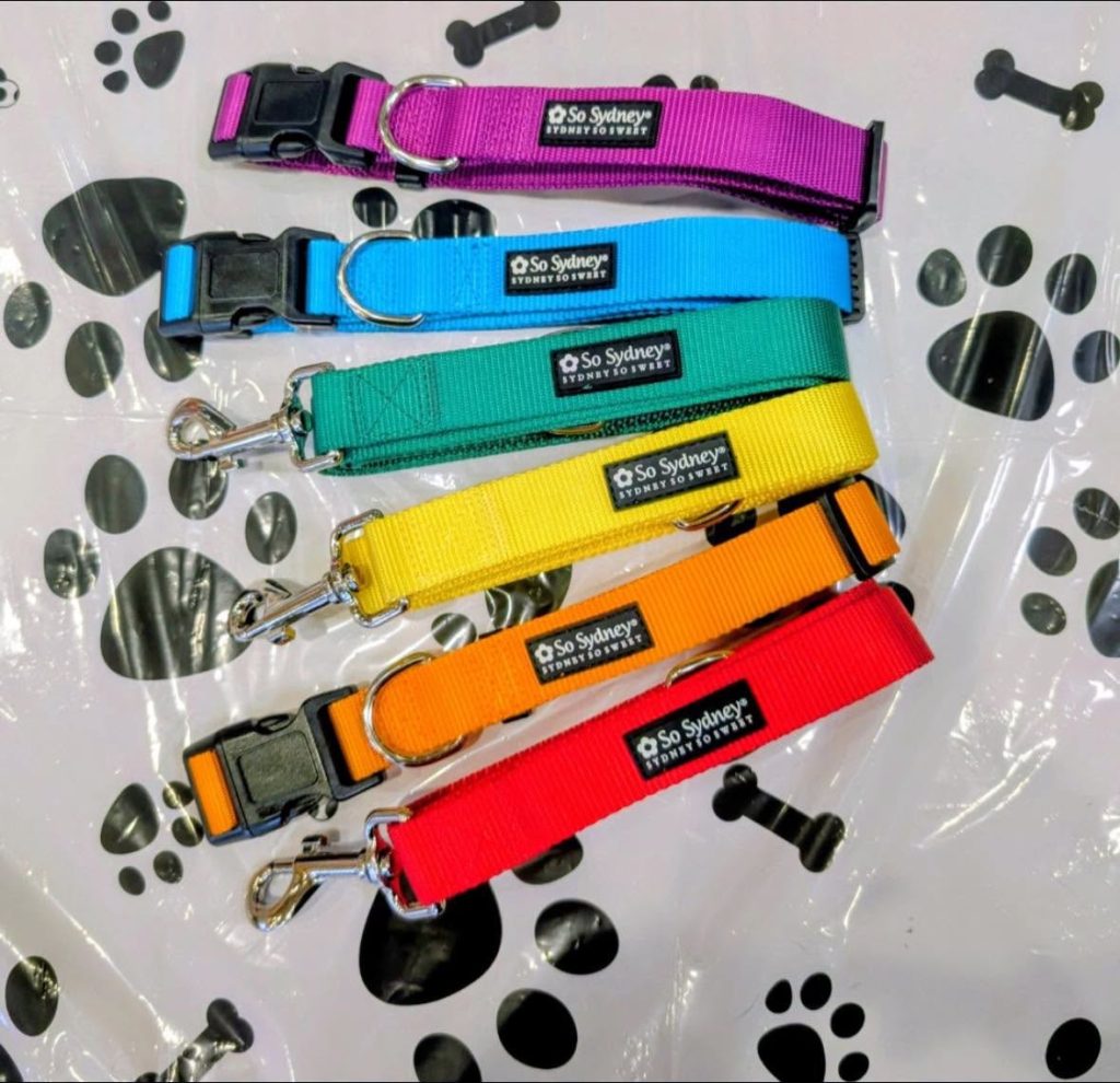 Summit County Animal Control receives 10,000 collars and leashes from local business