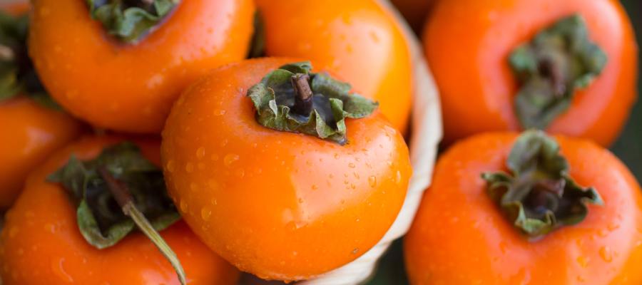 Why You Need Persimmons in Your Home Garden