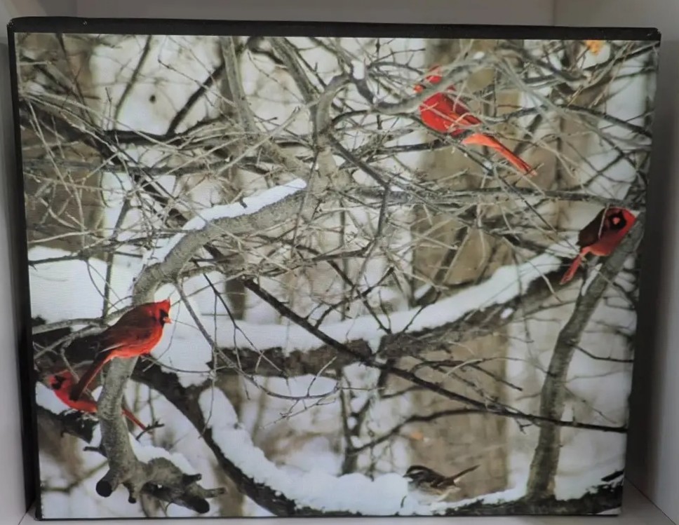 Art Exhibit: Whiskers to Wings, Nature Photography, and Peninsula Art Academy